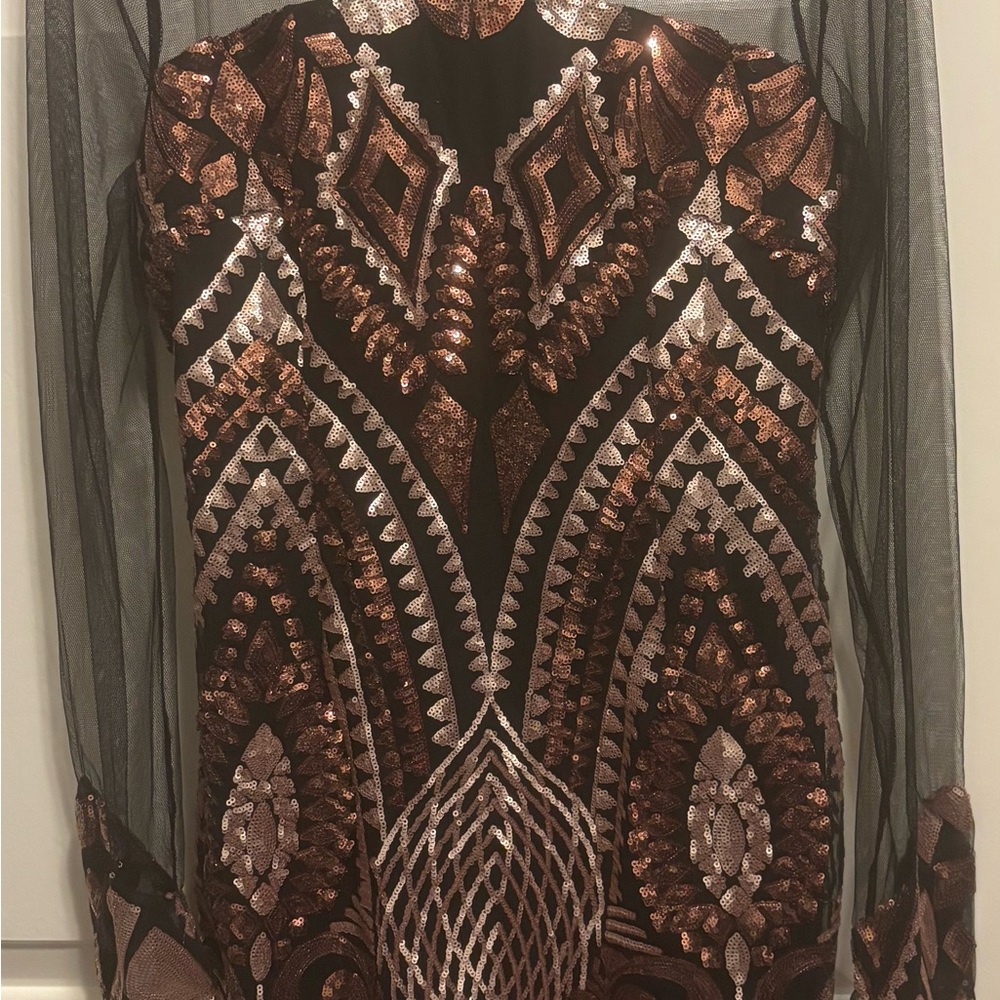 Fashion Nova Black Sheer Mesh Dress with High Neck